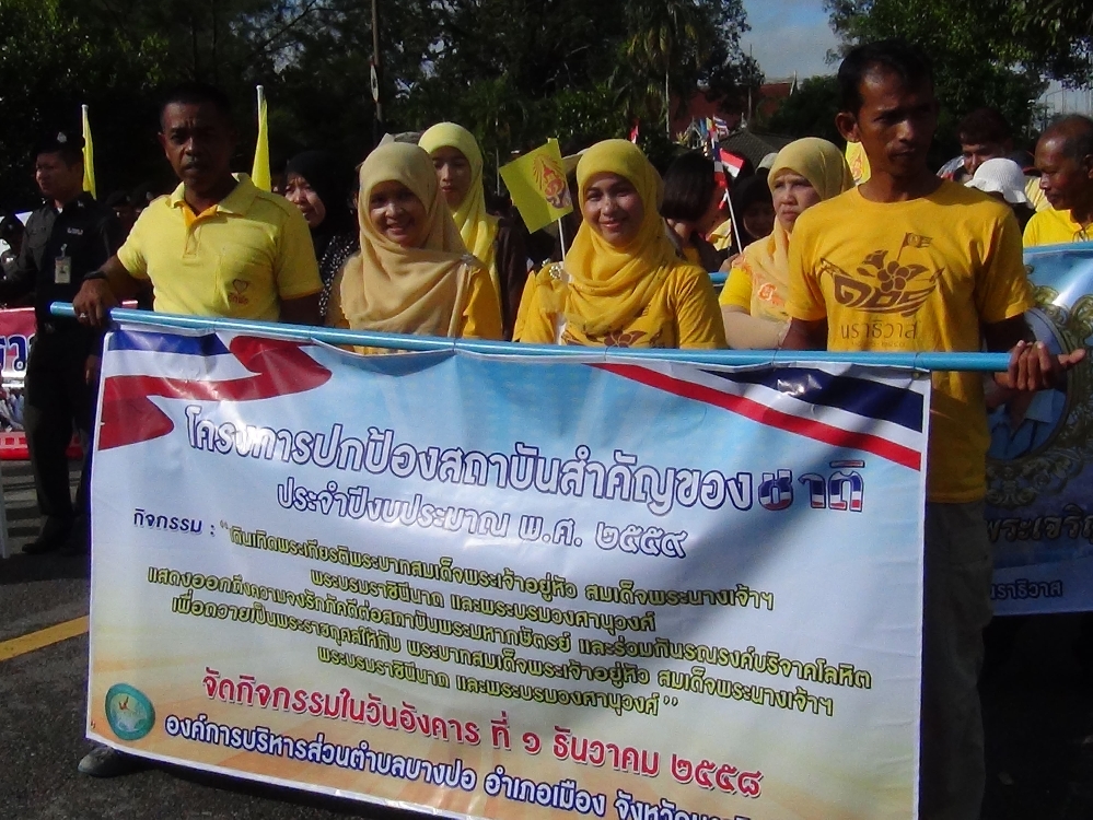 โครงการปกป้องสถาบันของชาติ